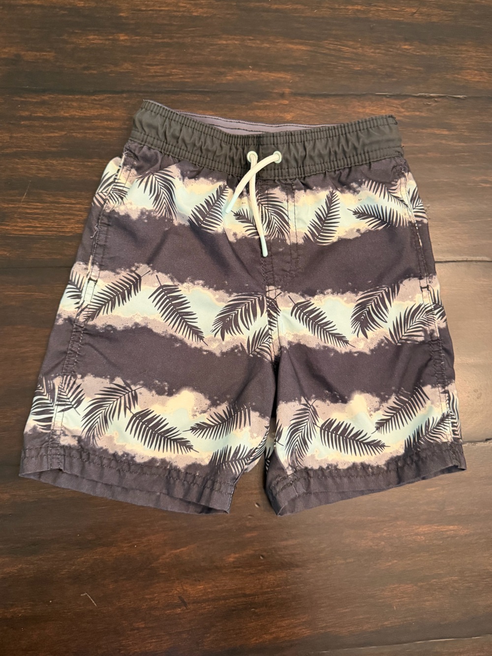 Cat & Jack Lined Swim Trunks